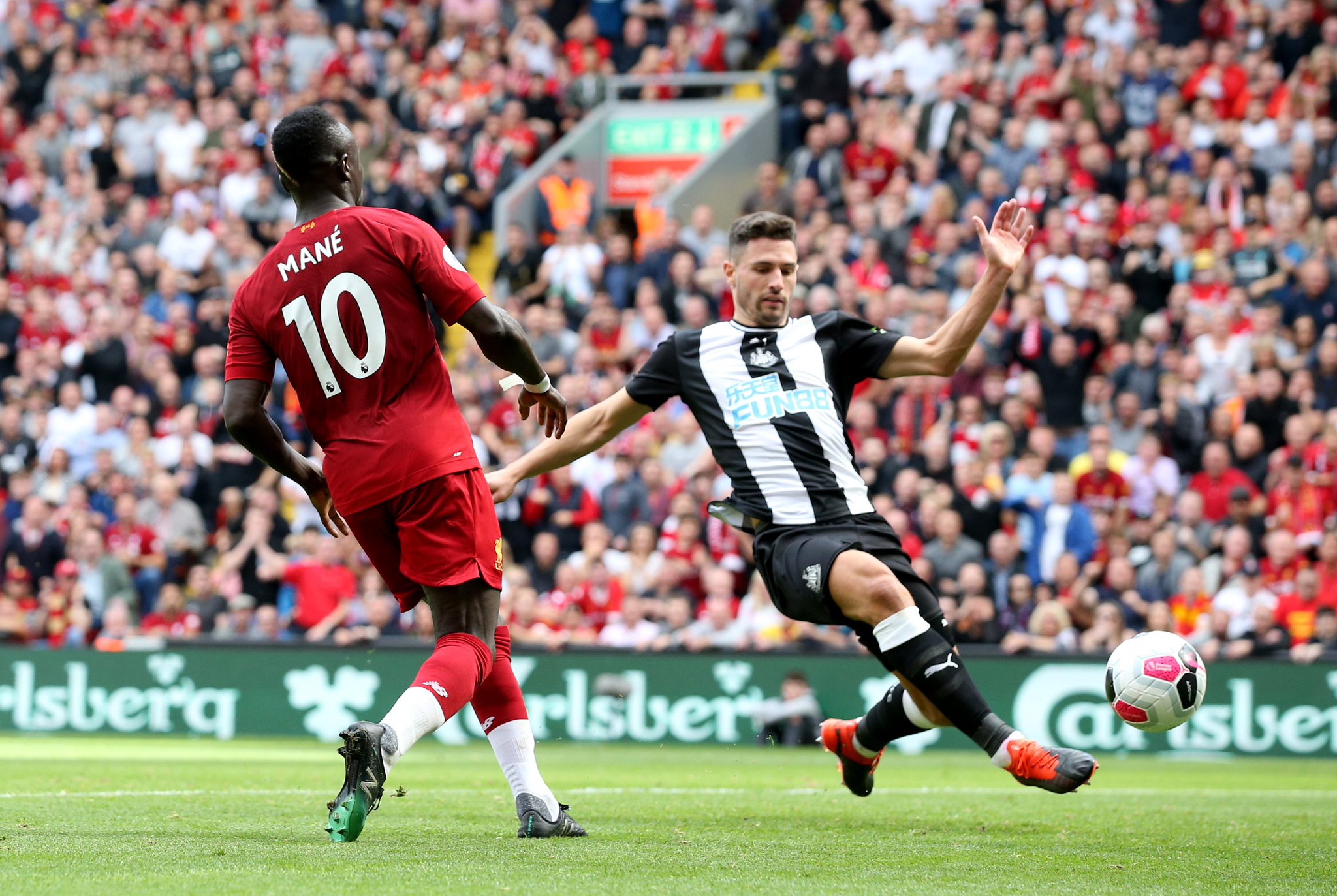 阿德利的职 阿德利的职